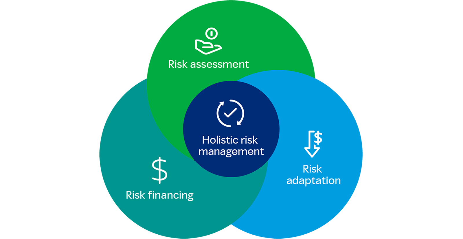 Venn diagram illustrating holistic risk management with three overlapping circles. The green circle is labeled 'Risk Assessment,' the dark blue circle is labeled 'Risk Financing,' and the light blue circle is labeled 'Risk Adaptation.' In the center, where all three circles overlap, is the phrase 'Holistic Risk Management,' indicating the integration of these components.