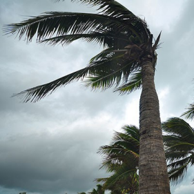 Protecting against severe weather environmental risks