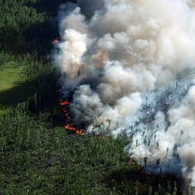 Liability concerns ignite interest in wildfire modeling